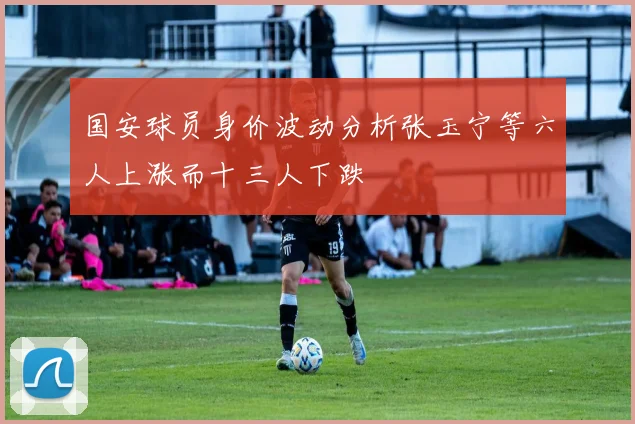 国安球员身价波动分析张玉宁等六人上涨而十三人下跌